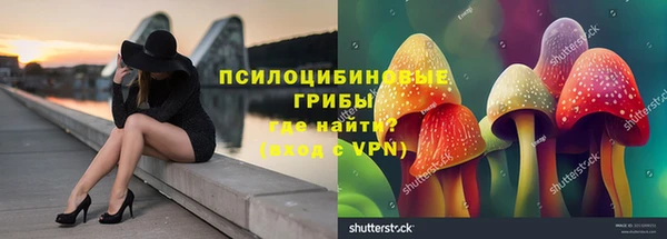 скорость Бердск