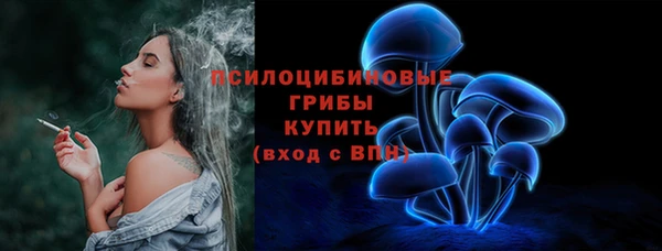 ECSTASY Вяземский