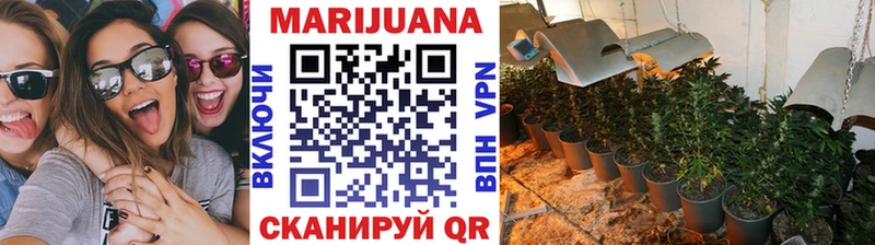 Шишки марихуана OG Kush  цена   Жуковка 